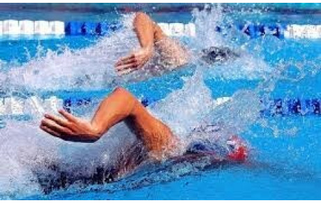 Reprise des cours de natation au BCS Natation – Saison 2025/2026